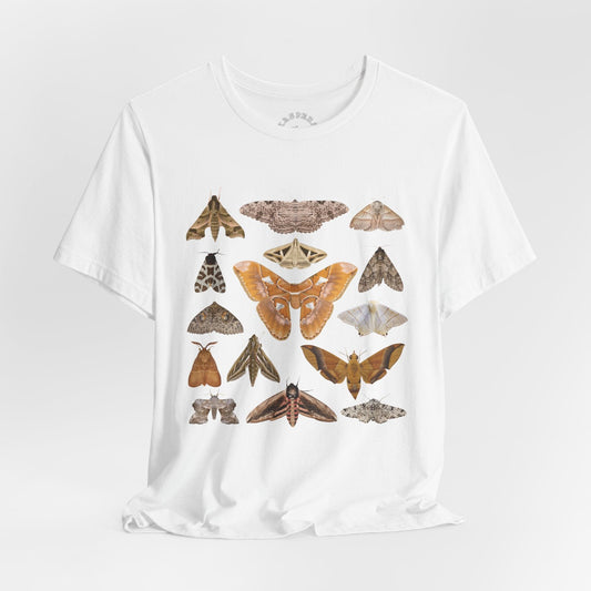 Moth Specimens T-Shirt