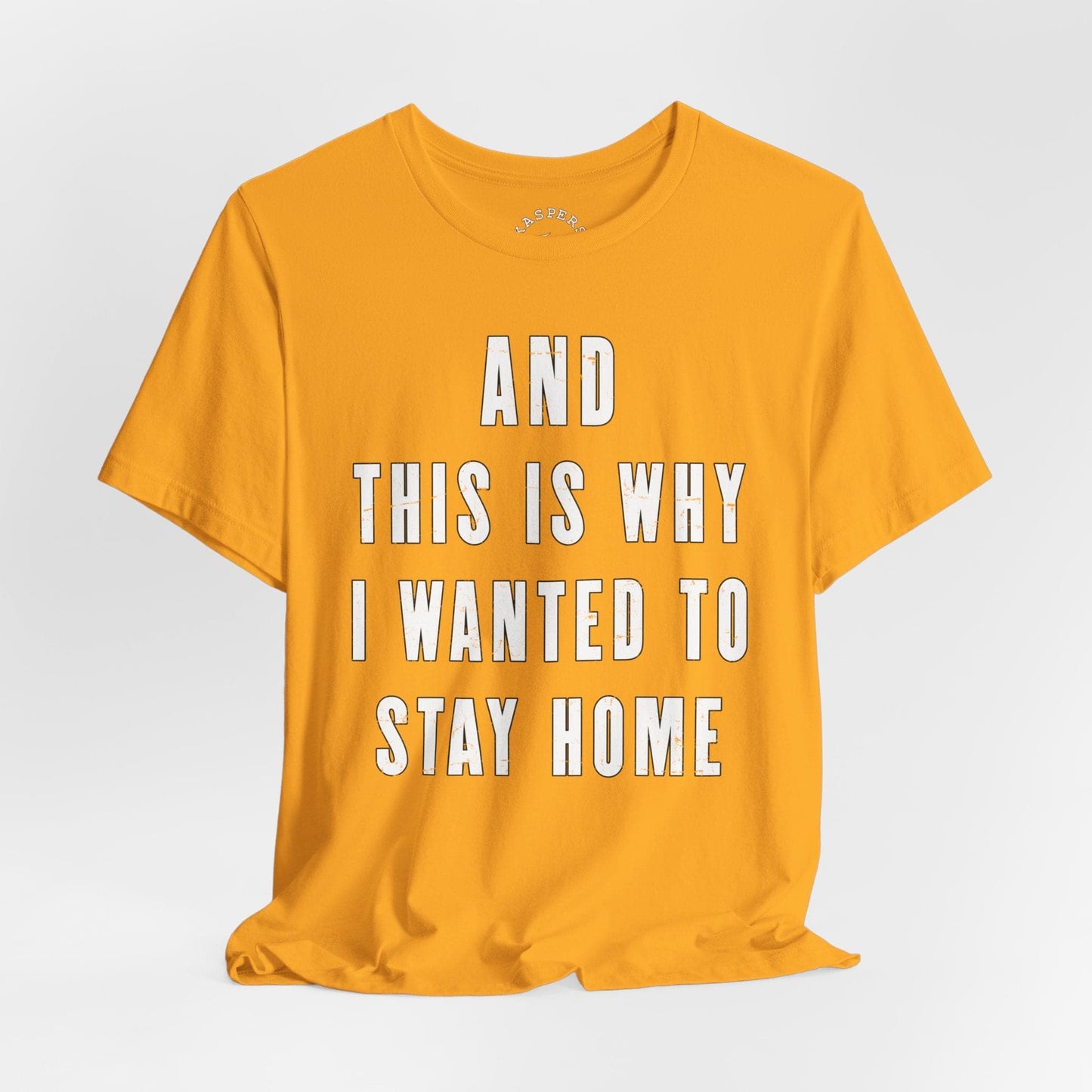 And This Is Why I Wanted To Stay Home T-Shirt
