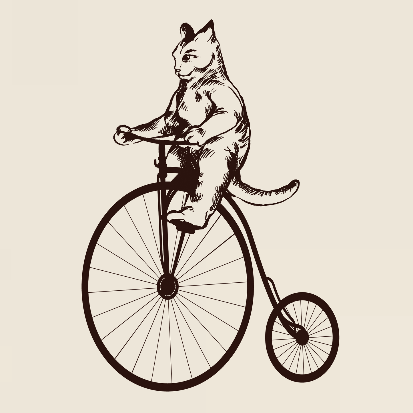 Cat On A High Wheel Bicycle T-Shirt