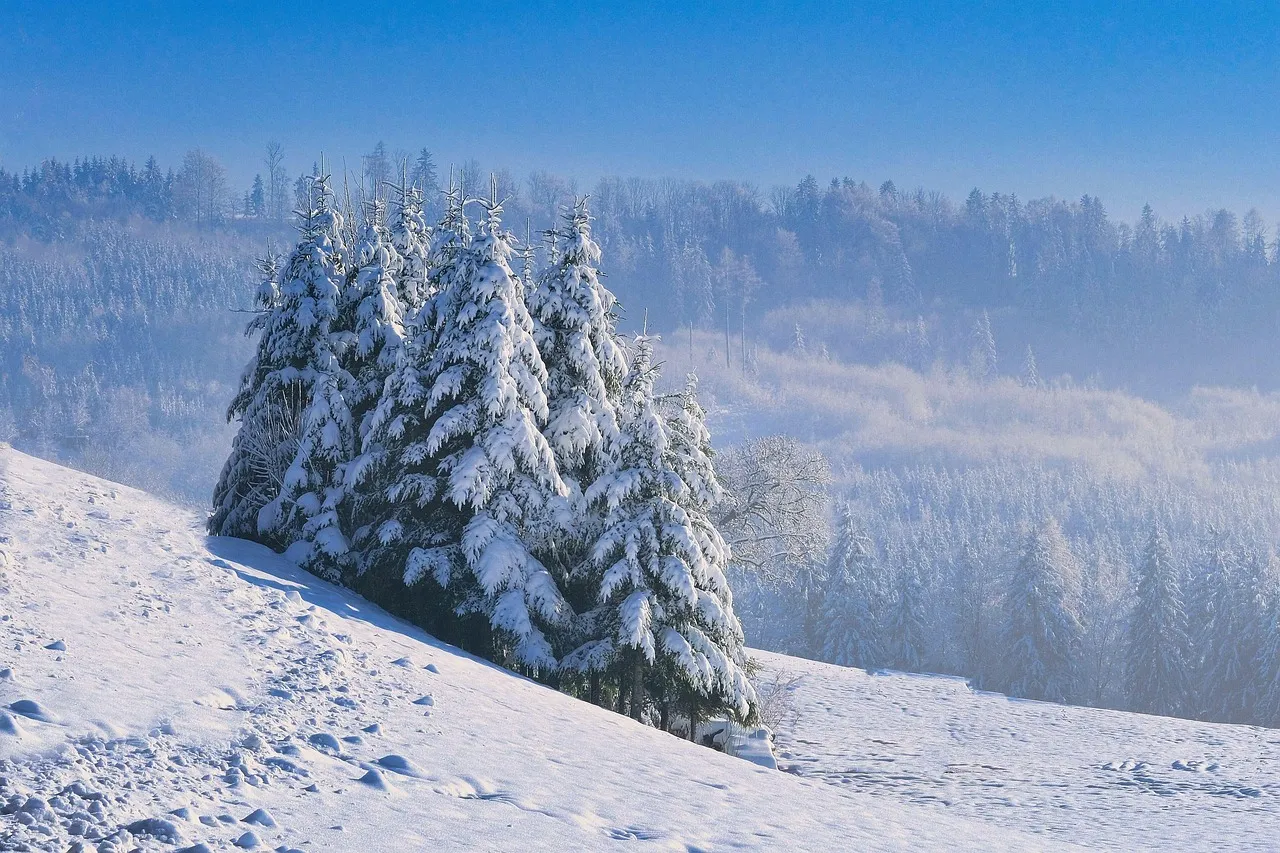 Man, I Love Fall - MILF T-Shirt