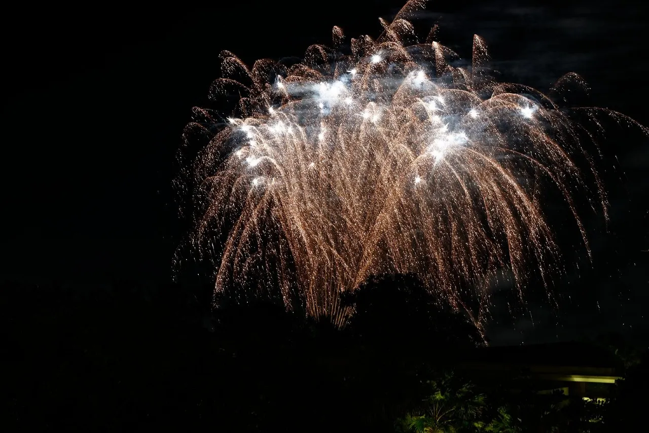 Fireworks & Freedom T-Shirt